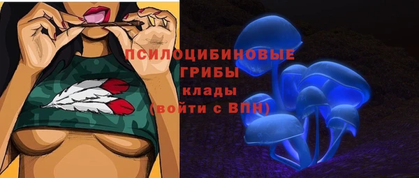 PSILOCYBIN Вяземский