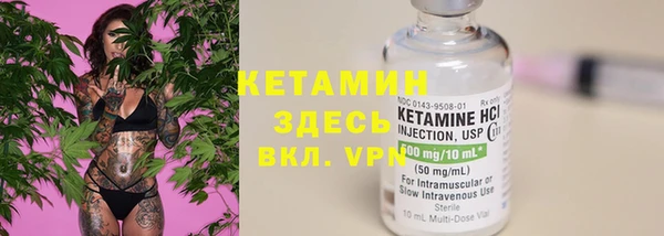 PSILOCYBIN Вяземский