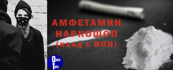 PSILOCYBIN Вяземский