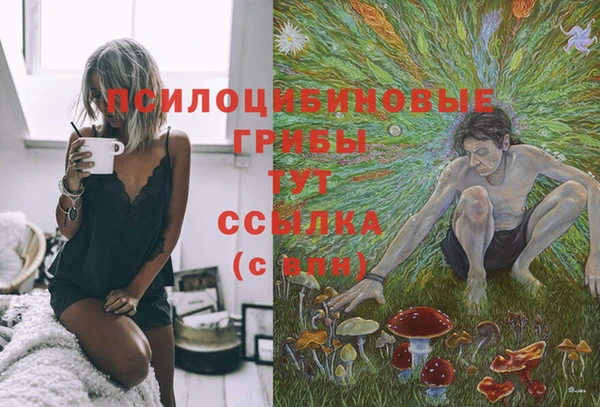 PSILOCYBIN Вяземский