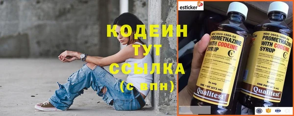 PSILOCYBIN Вяземский