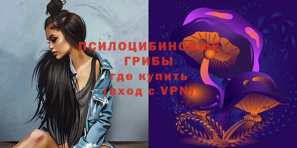 PSILOCYBIN Вяземский