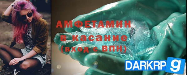 PSILOCYBIN Вяземский
